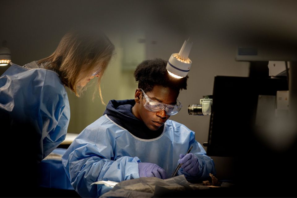 A student in dressed in a blue lab gown, safety goggles and goves uses a tool to examine a specimen while a researcher observes.