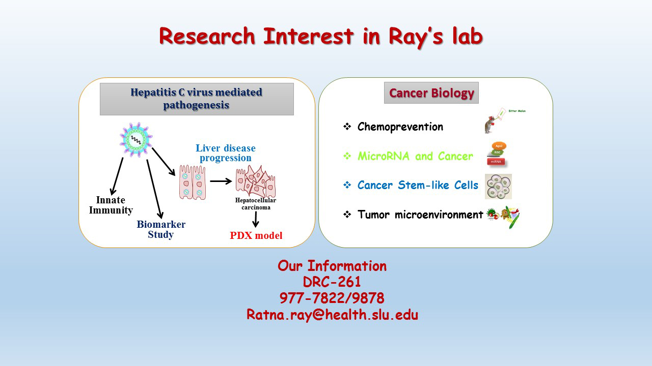 Ray Ratina's Lab Interests