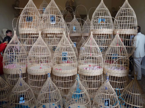 An artwork by Maria Magdalena Campos-Pons titled, 53+1=54+1=55 / Letter of the Year. Multiple teardrop-shaped wicker cages containing small photographs are suspended in a large configuration.