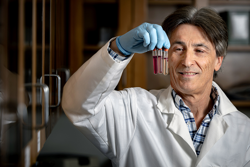 A scientist wearing a white lab coat holds up and examines three vials of blood.