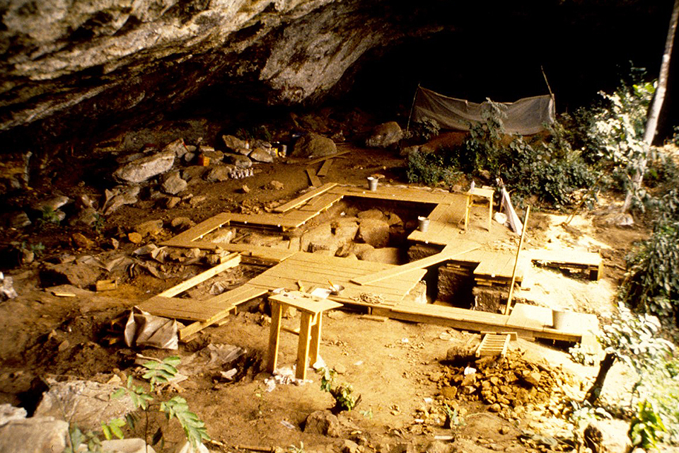 Newswise: Nature Study: First Ancient DNA from West Africa Illuminates the Deep Human Past