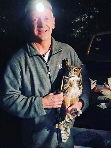 Astrid, a great horned owl, is being held by a researcher in the Forest Park Living Lab.