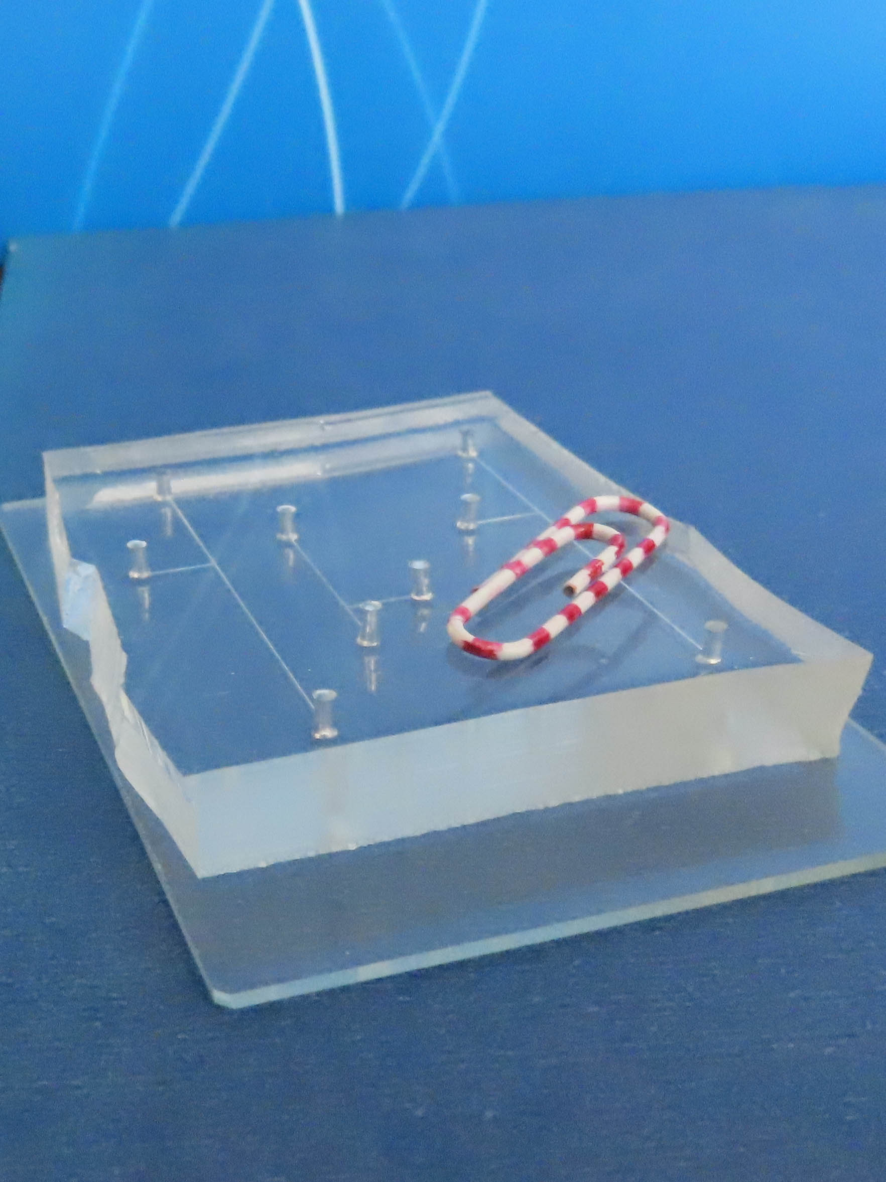 microfluidic chip