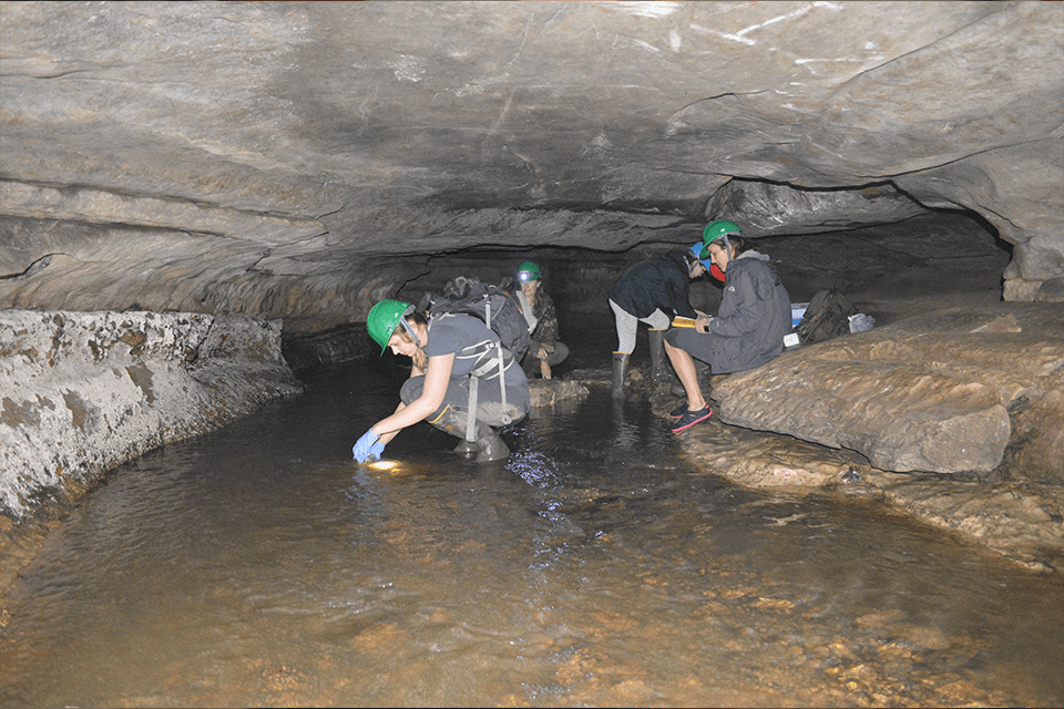Saint Louis University researchers analyze water from a dark cave to determine if microplastics are present. 