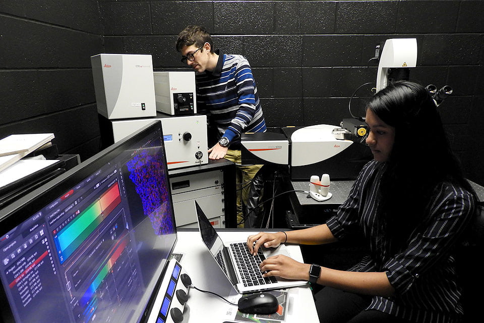 Computer Science students working on a research project