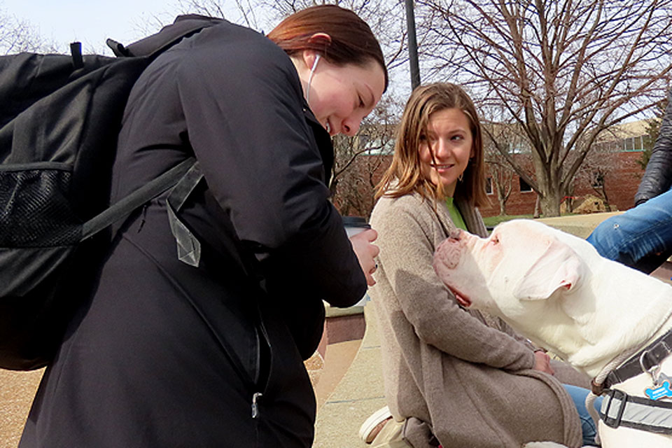Hoonah takes a sniff of a student's coffee during a March 2020 Yappy Hour.
