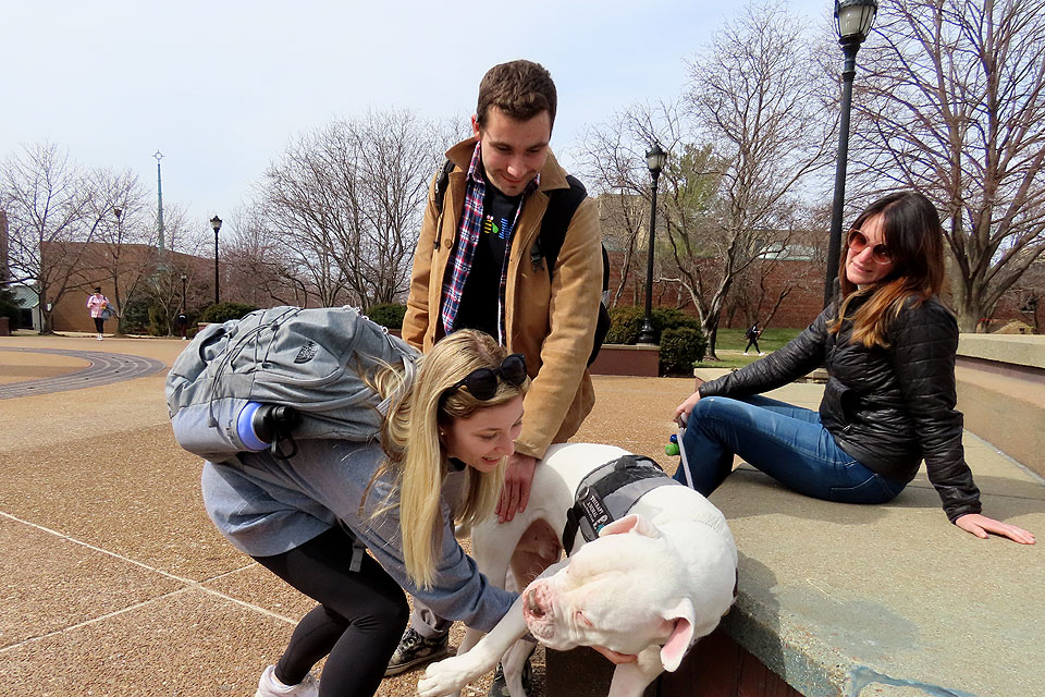 Students enjoy getting to spend time with Hoonah and his handler, Jennifer Scott (right) during a 2019 Yappy Hour.