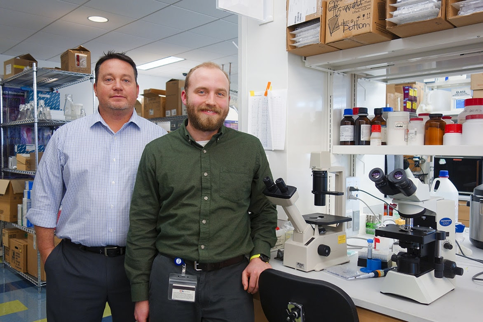 SLU researcher Richard DiPaolo, Ph.D., (left) and Kevin Brockerstett, a student in the M.D./Ph.D. program, (right) have published a new research study in Gastroenterology. SLU file photo by Maggie Rotermund