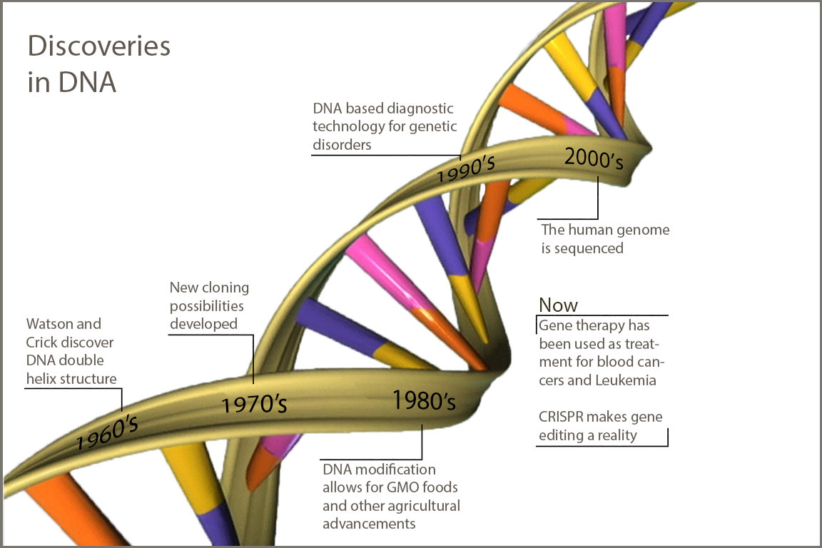 dna_timeline