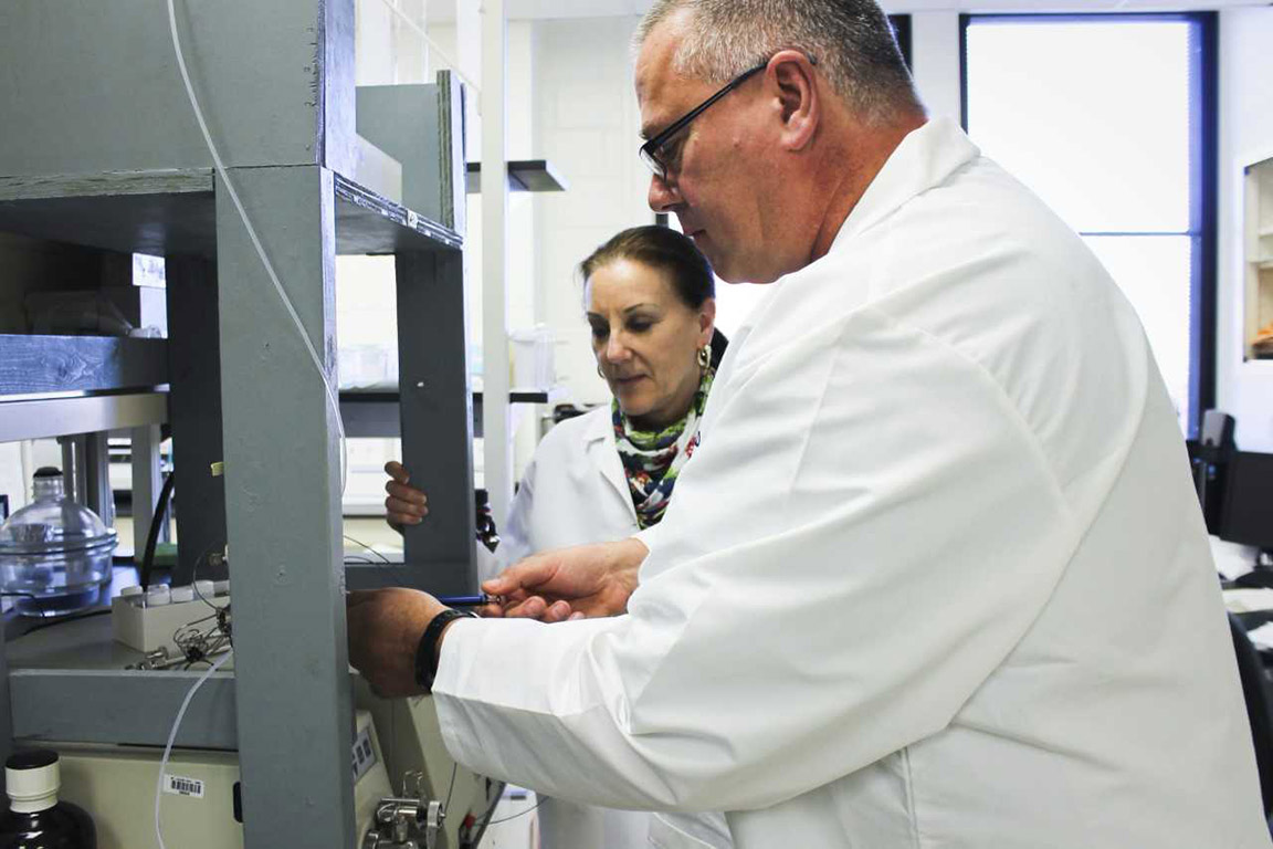 David Ford, Ph.D., and Jane McHowat, Ph.D.