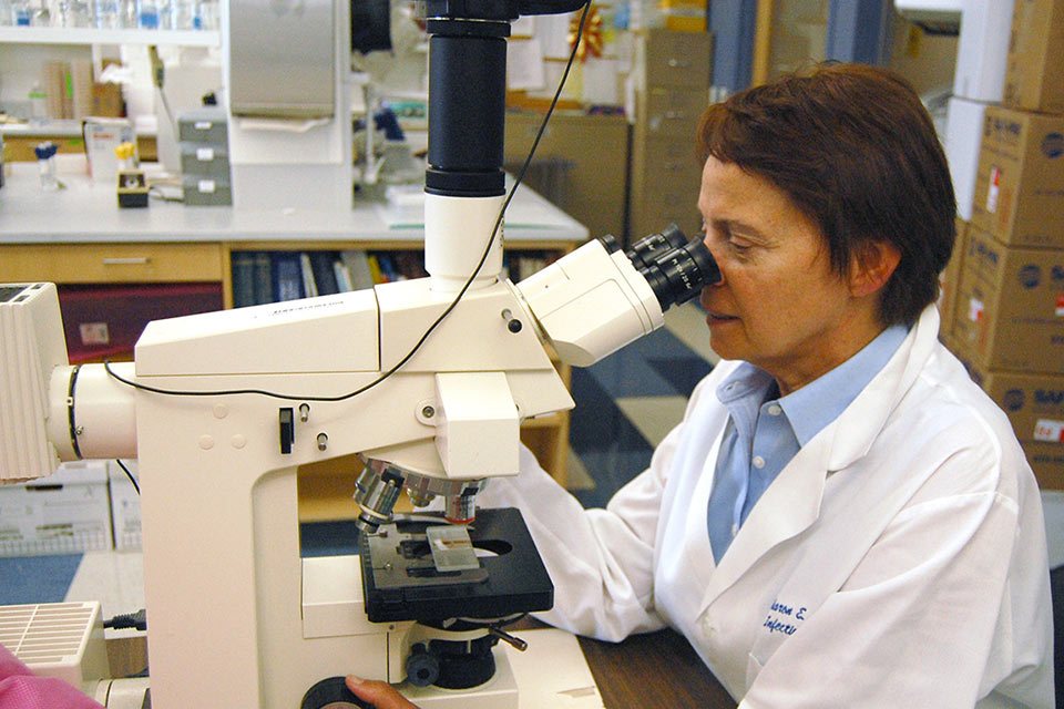 Dr. Frey sits looks into a microscope while sitting in a scientific lab.