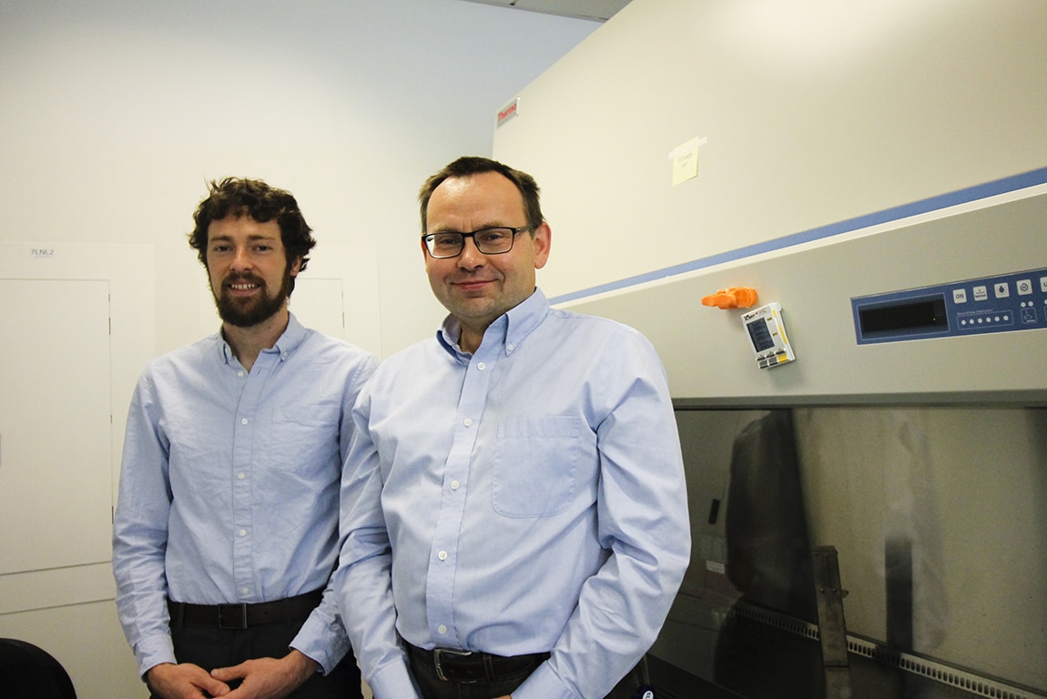 Andrew Jones, doctoral student, and Daniel Hawiger, M.D., Ph.D., associate professor of molecular microbiology and immunology at SLU