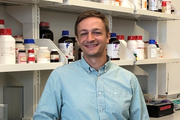  A Saint Louis University research team, led by Kyle S. McCommis, Ph.D., assistant professor in Biochemistry and Molecular Biology, found that combining two classes of anti-diabetes drugs provides superior benefits in mouse models of diabetes and fatty liver disease.
