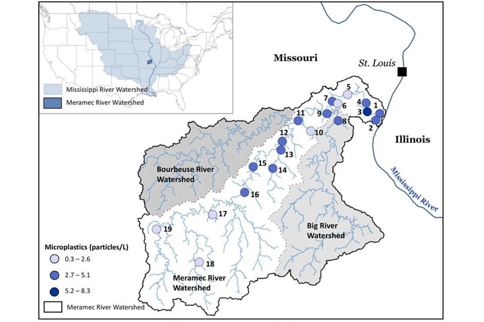 A map of portions of Missouri and Illinois showing the Meramec River watershed, as well as the particles/l of microplastics in key areas. Microplastic levels range from 18 and 19 in the southern area of the Meramac River watershed, then decrease in number gradually to  1 and 2 closest to the intersection of the Mississippi River.