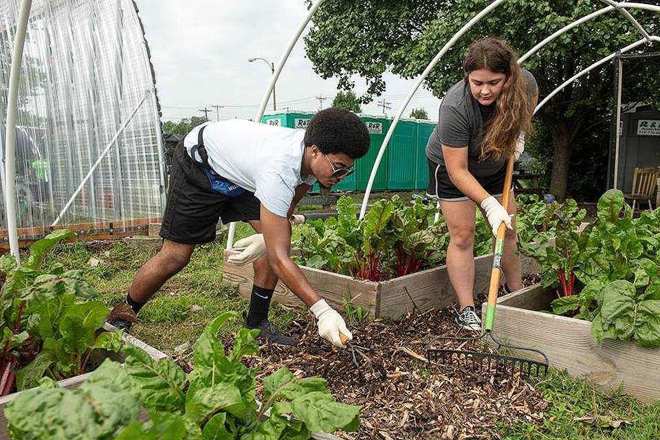 Students perform service