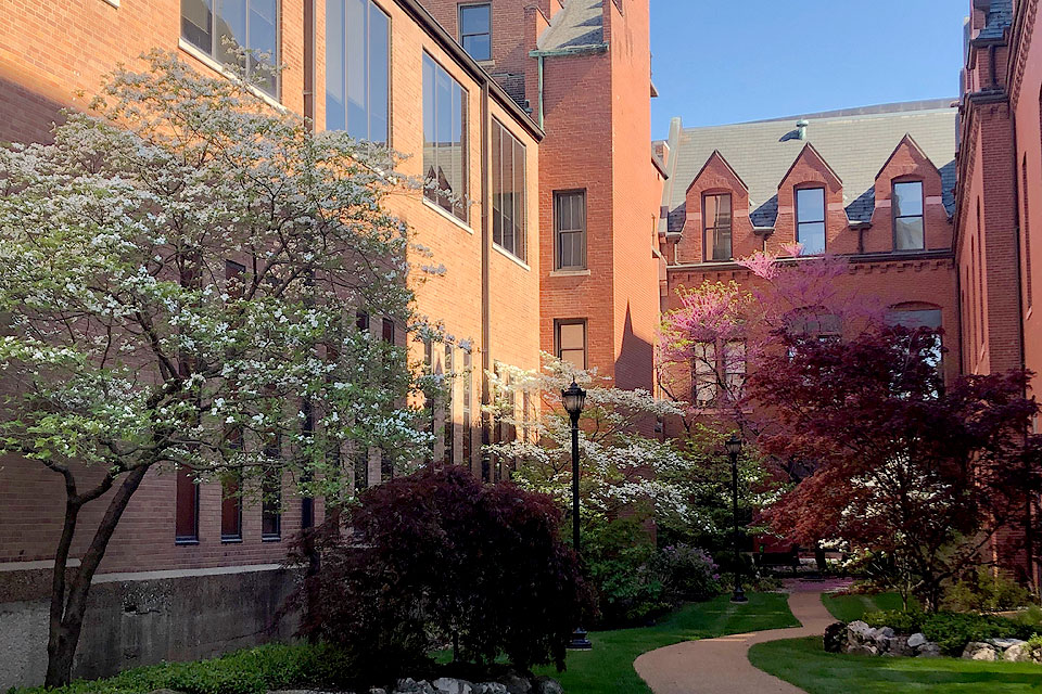 Trees near Verhaegen Hall