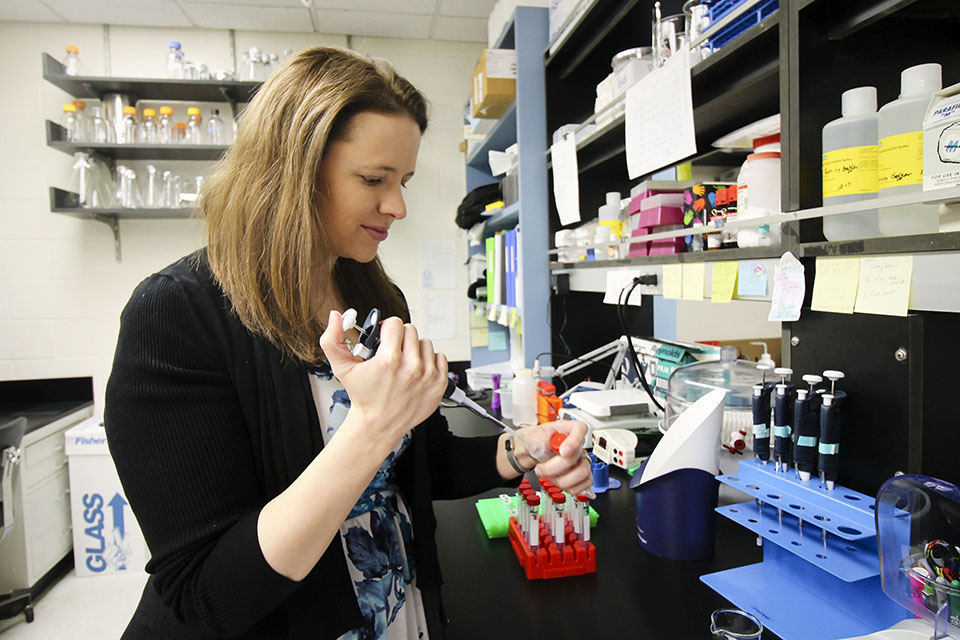 Gina Yosten, Ph.D., works in her lab.