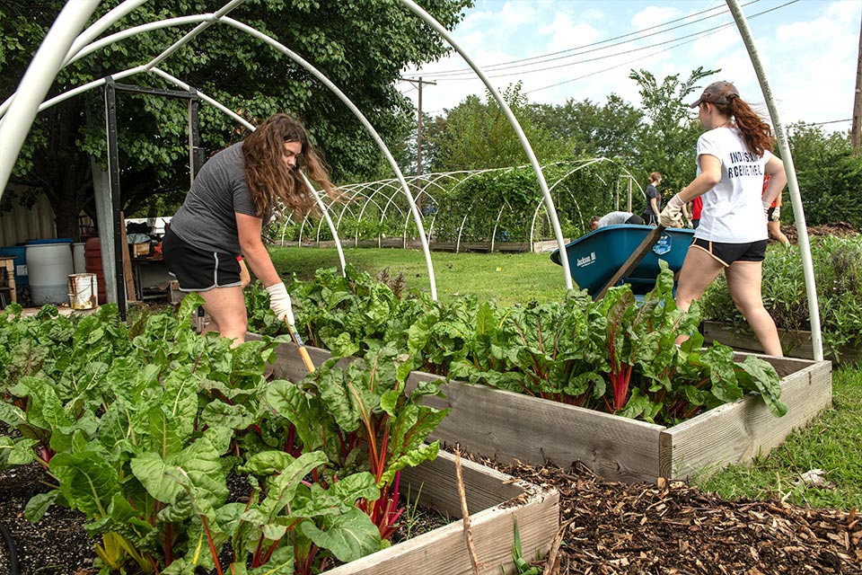 Organic Teaching Garden