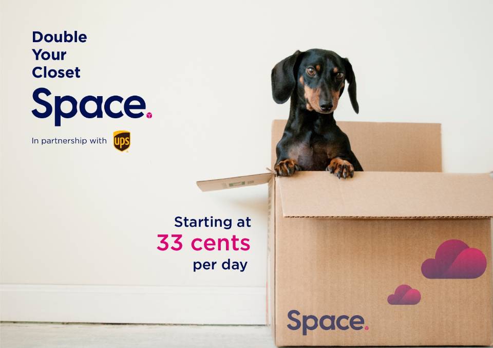 Dachshund in a cardboard box with text showing that storing a box costs 33 cents a day
