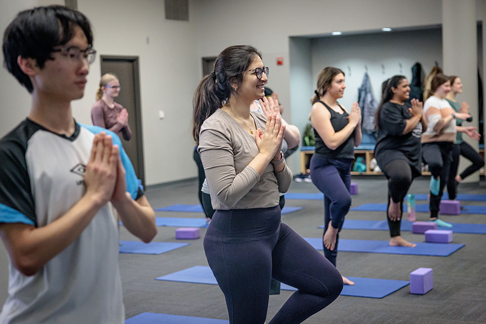 A row of students practicing a yoga pose