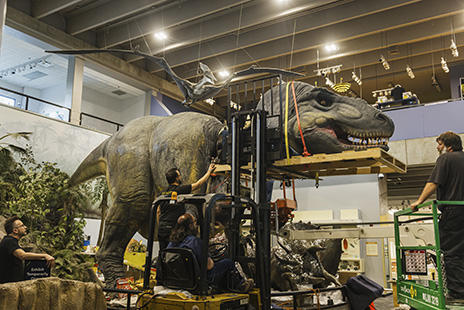 A team repairs the head of the Science Center's T. rex, reattaching the head using a large pallet.