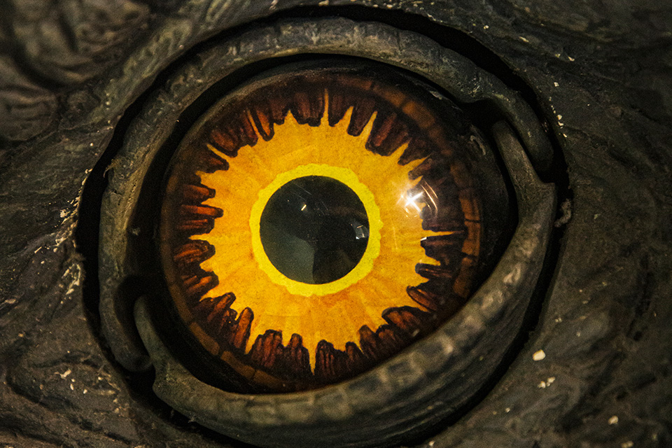 A large yellow eyeball set in a dark green, scaly head belonging to an animatronic dinosaur.