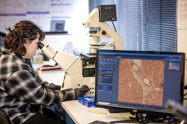Biomedical Engineering Research A student looks through a microscope in a biomedical engineering lab.