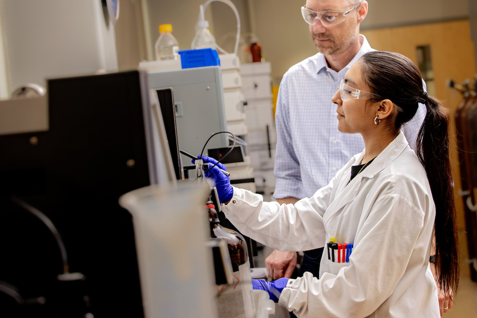 Meyers Lab Faculty Member Marv Meyers and a student work in the Meyers Lab at the SSE.