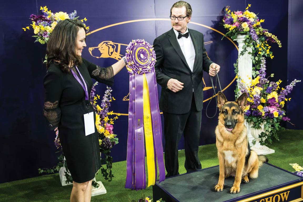 Bisher at Best in Show