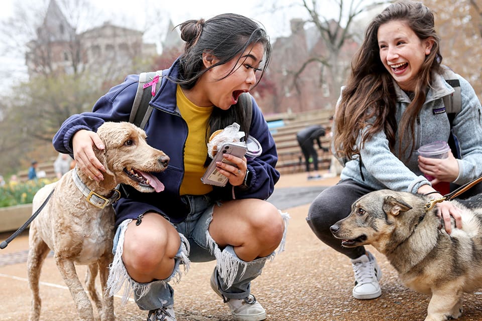 Two female SLU students play with dogs outdoors