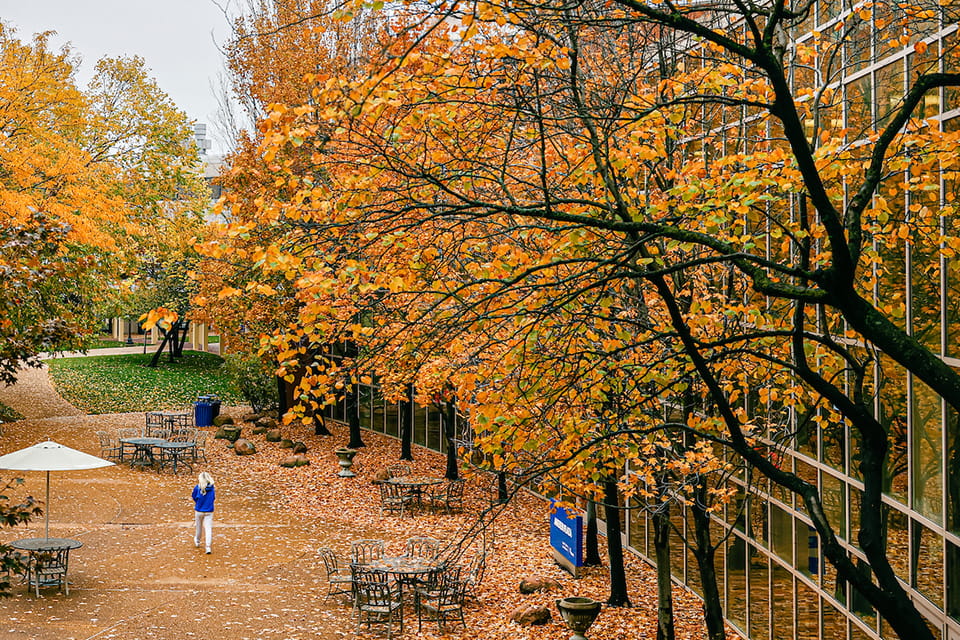Exterior of Busch Student Center surrounded by orange trees in fall.